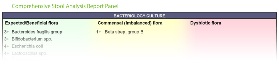 Comprehensive Digestive Stool Analysis Sample Panel